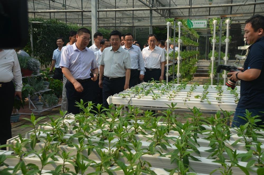 科技助農(nóng)，播撒光的種子  精準(zhǔn)扶貧，助力鄉(xiāng)村振興